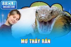 Mơ thấy rắn